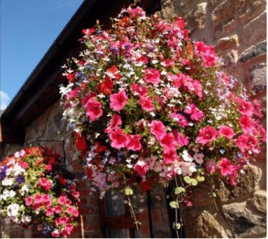 New Overlander Inn Penally Exterior foto